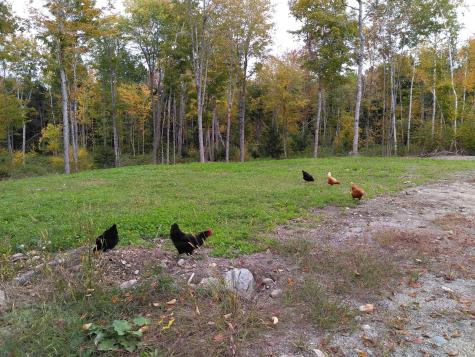 92 Trout Brook Road Road Mariaville ME 04605