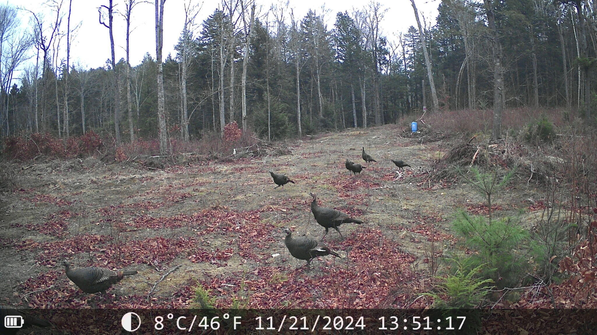 92 Trout Brook Road Road Mariaville ME 04605