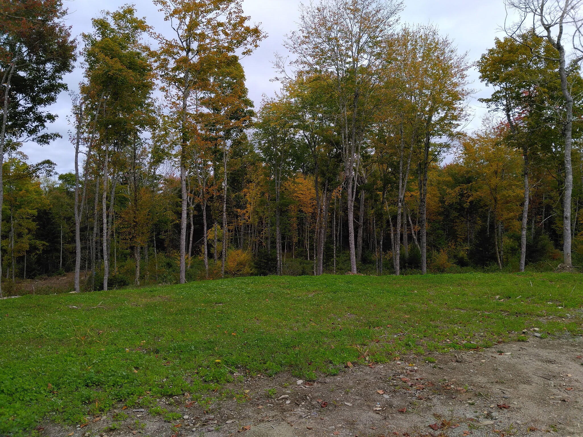 92 Trout Brook Road Road Mariaville ME 04605