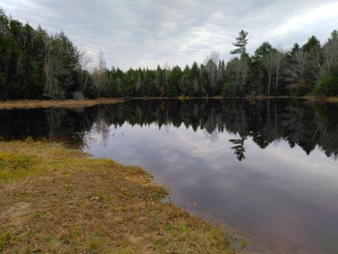 92 Trout Brook Road Road Mariaville ME 04605