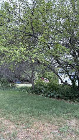 1123 South Street Dover-foxcroft ME 04426