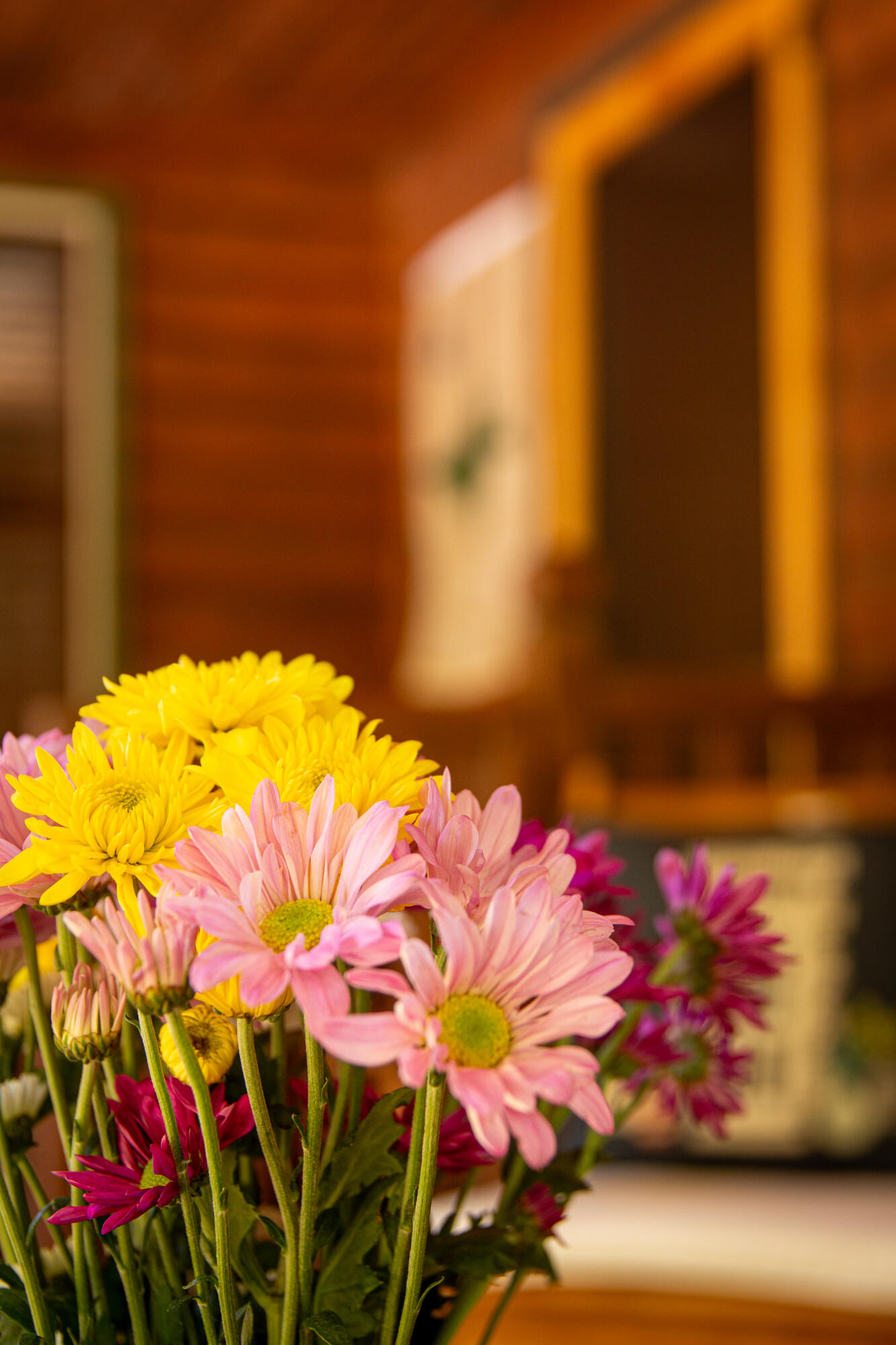 26 Meadow Drive Bar Harbor ME 04609