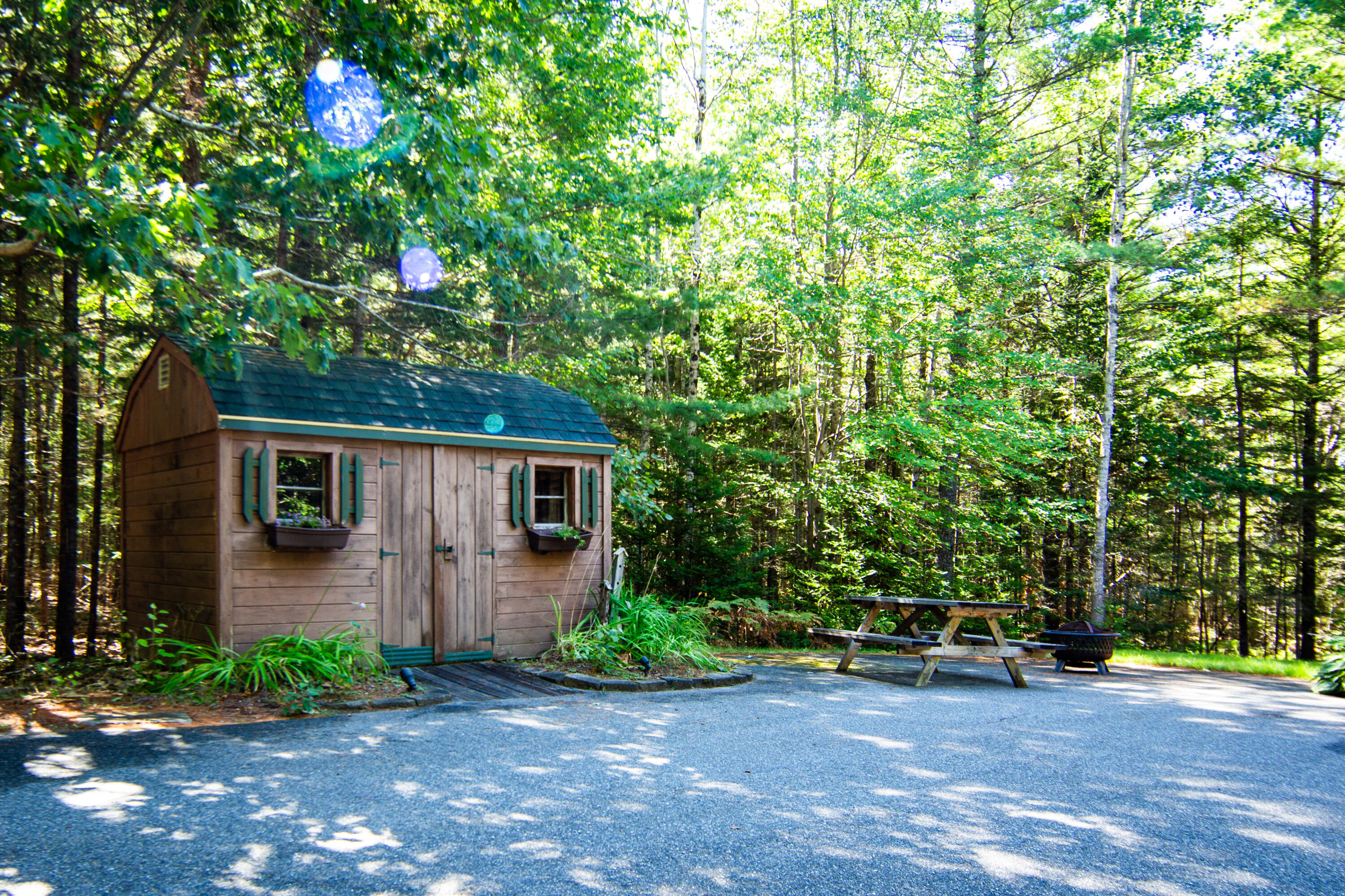 26 Meadow Drive Bar Harbor ME 04609