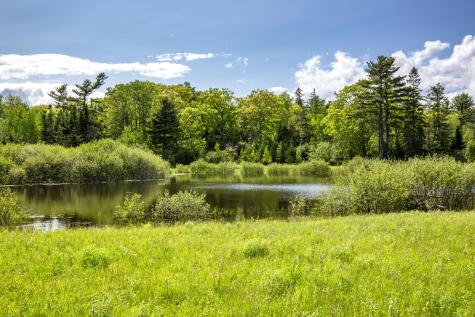 565 Bagaduce Road Brooksville ME 04617
