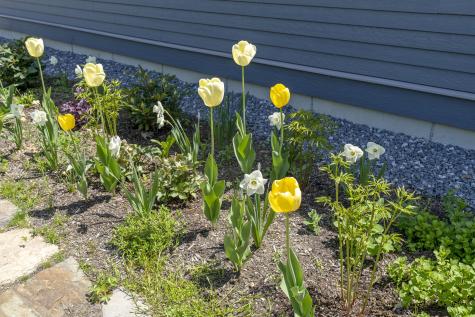 1 Little Bird Lane Brunswick ME 04011