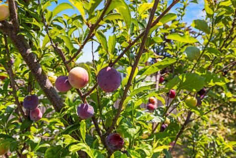 7 Willett Street Biddeford ME 04005