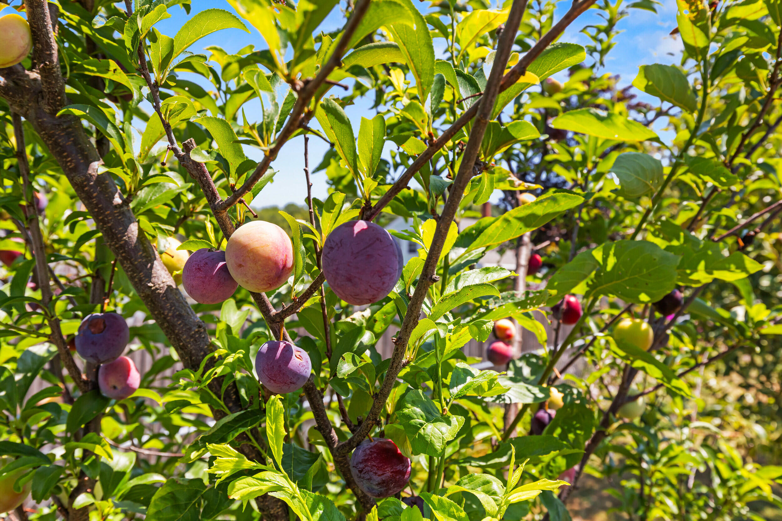 7 Willett Street Biddeford ME 04005