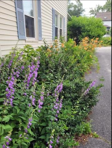 50 Boutelle Avenue Waterville ME 04901