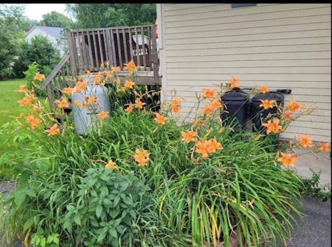 50 Boutelle Avenue Waterville ME 04901