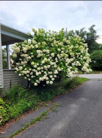 50 Boutelle Avenue Waterville ME 04901