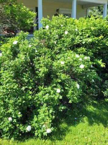 50 Boutelle Avenue Waterville ME 04901