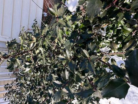 50 Boutelle Avenue Waterville ME 04901