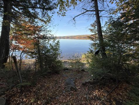 55 Mcnelly Road Island Falls ME 04747