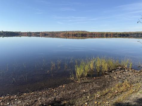 55 Mcnelly Road Island Falls ME 04747