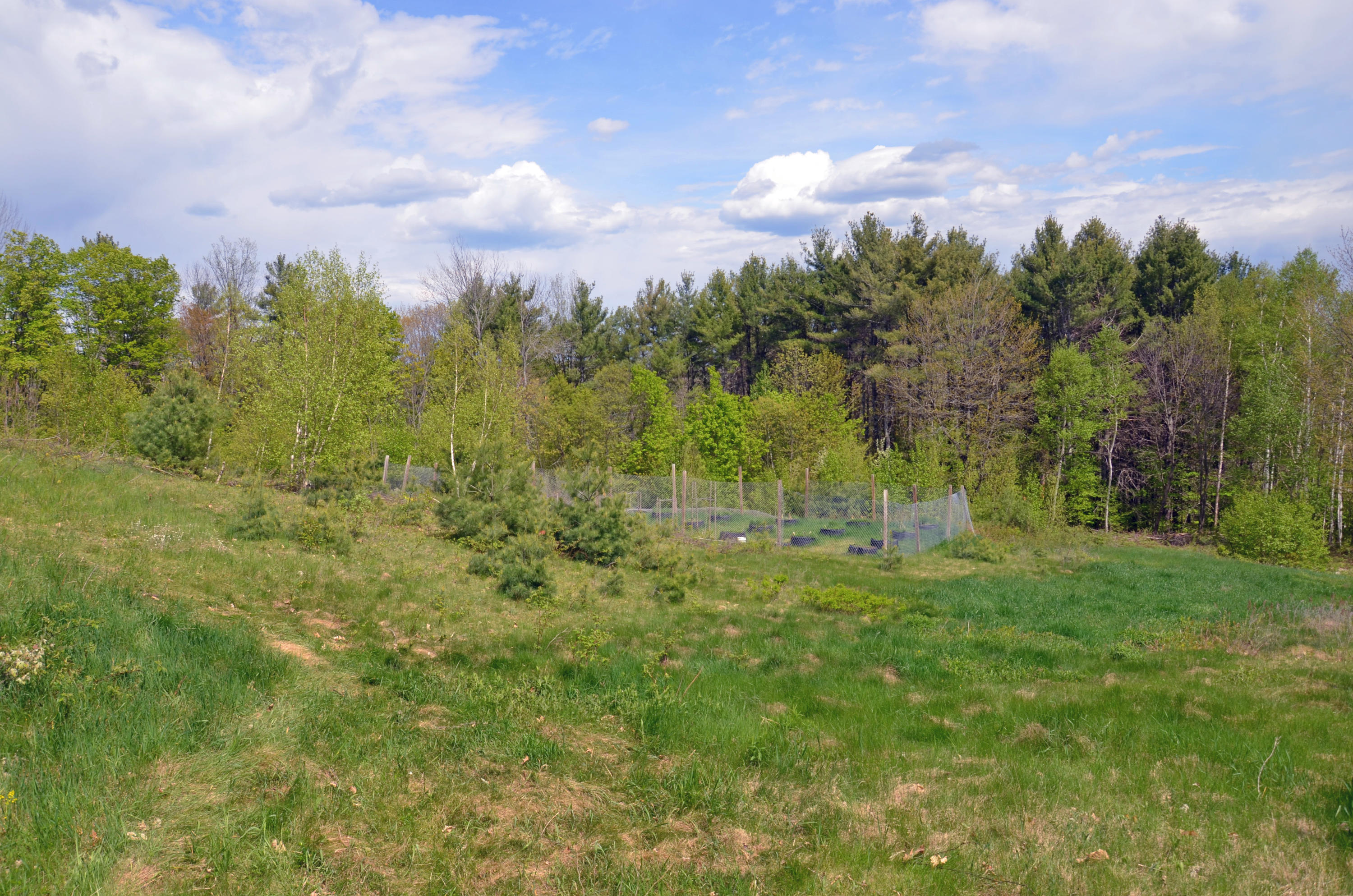 40 Perham Lane Greenwood ME 04255