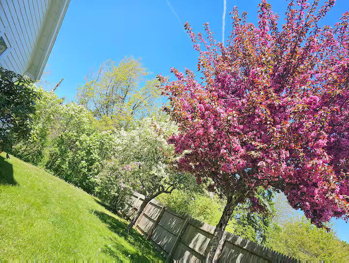 14 Seal Cove Road Southwest Harbor ME 04679