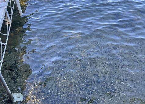 581 West Shore Road Otis ME 04605