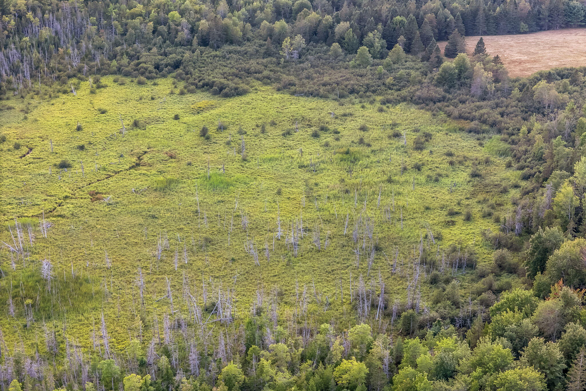 130 Town Farm Road Bucksport ME 04416