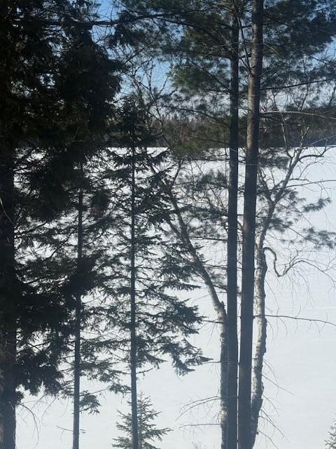1021 S Shore Road Stockholm ME 04783