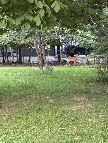 33 Center Street Machias ME 04654