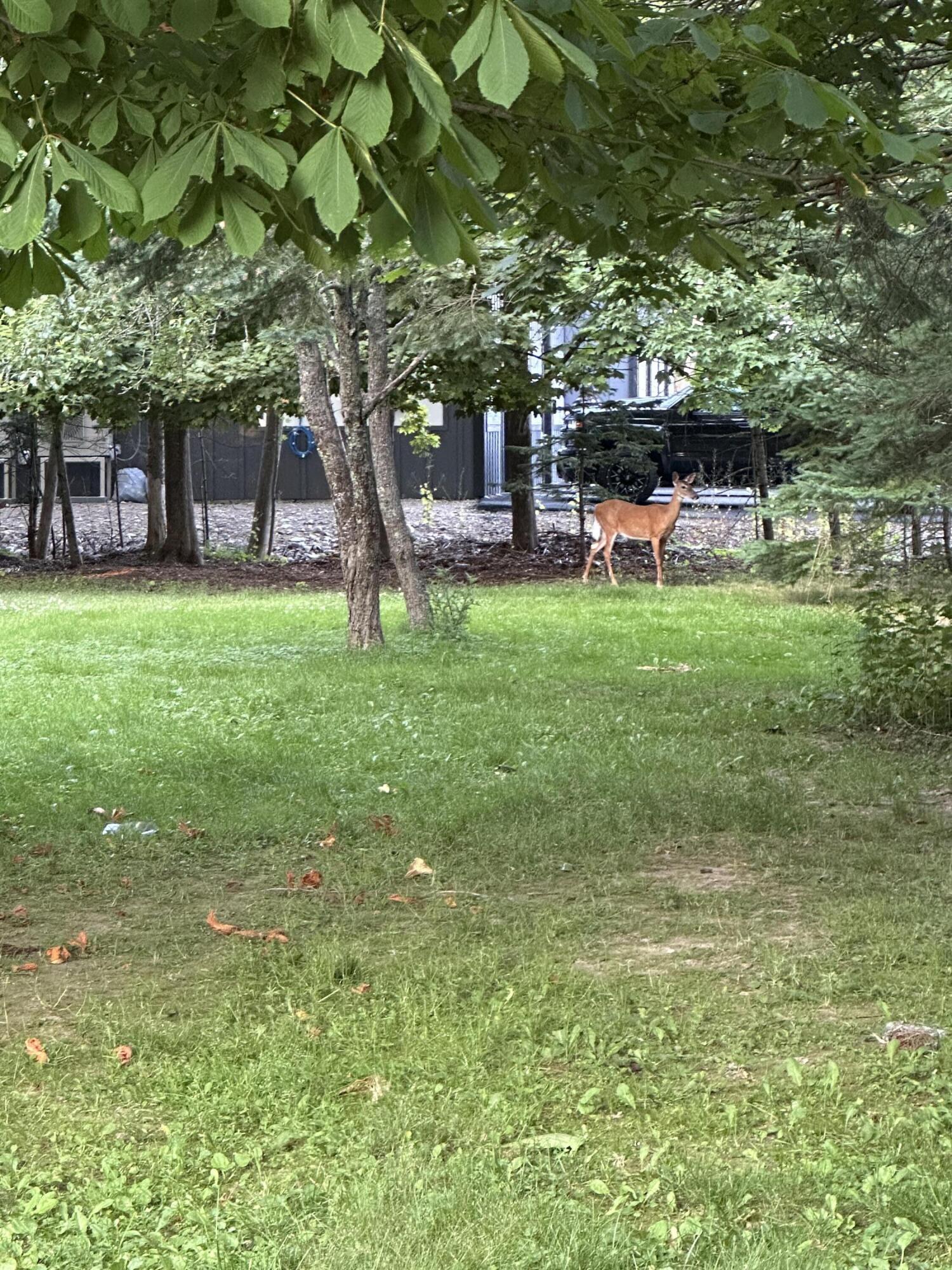 33 Center Street Machias ME 04654