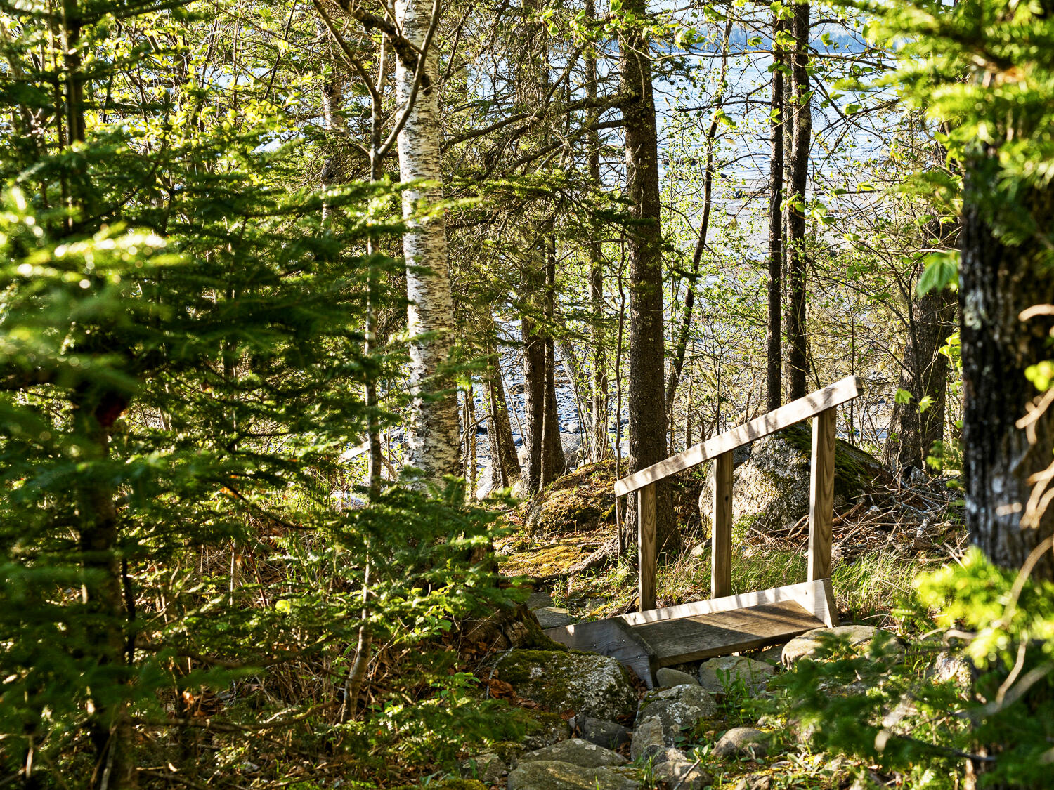 305 Bay View Drive Bar Harbor ME 04609