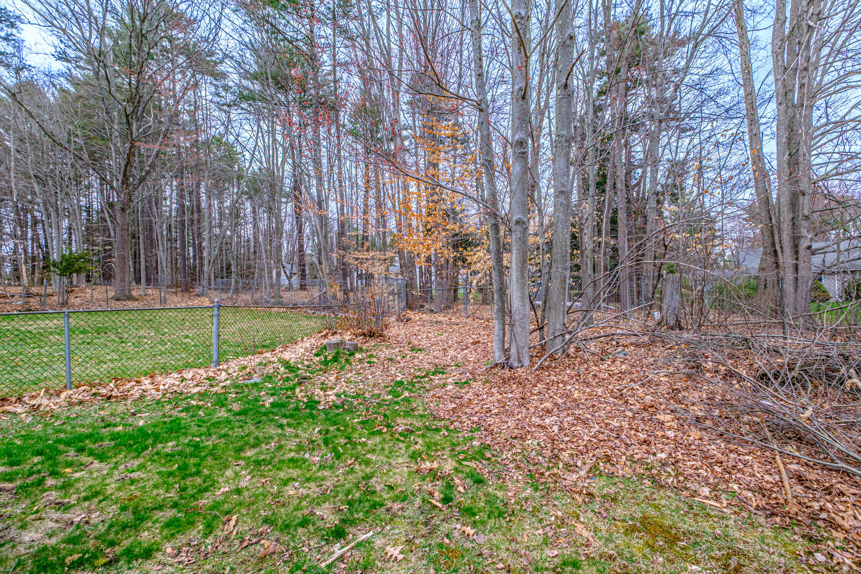 6 Prince Street Cumberland ME 04021