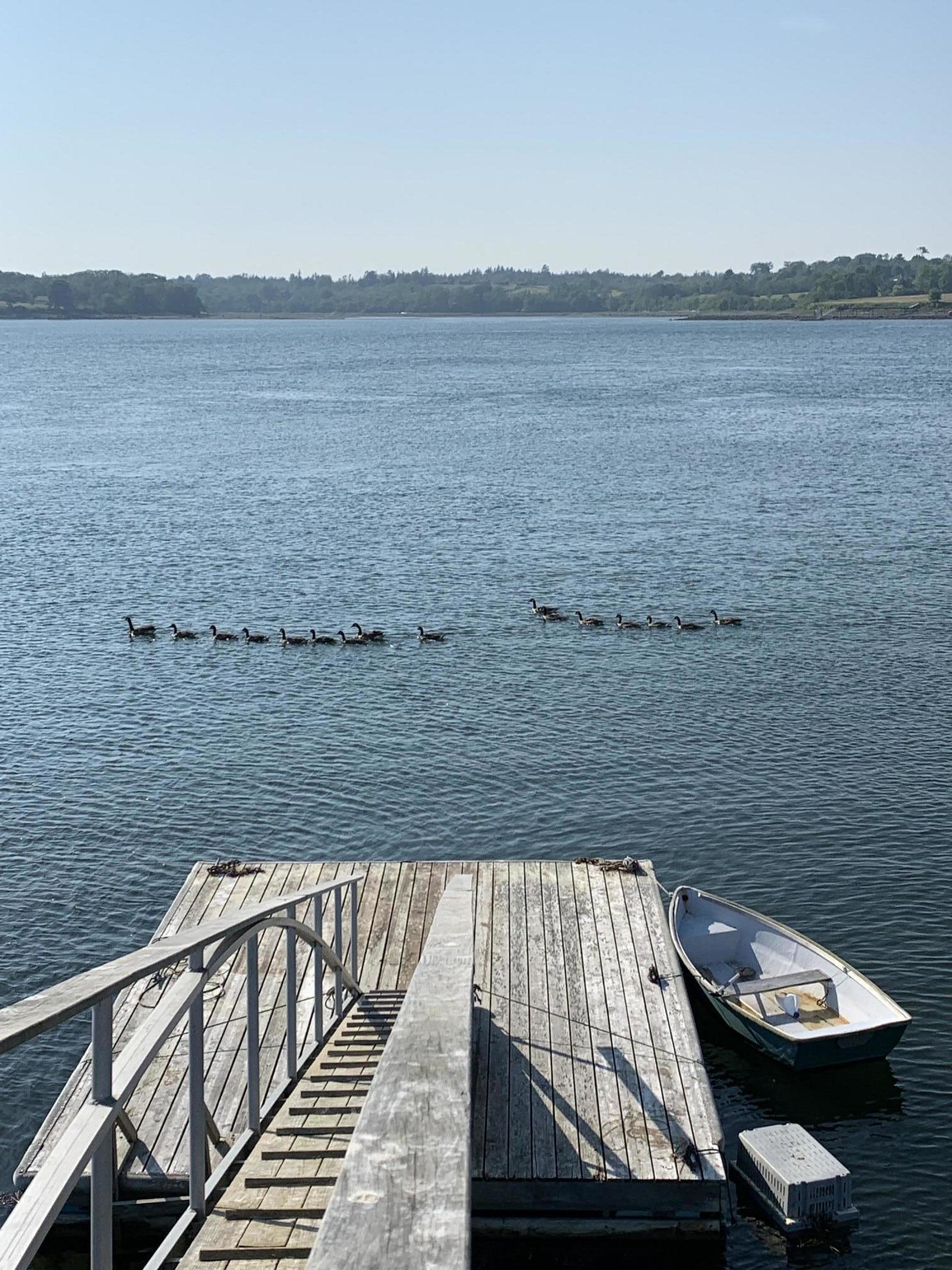 33 Henry Point Road Brooksville ME 04642