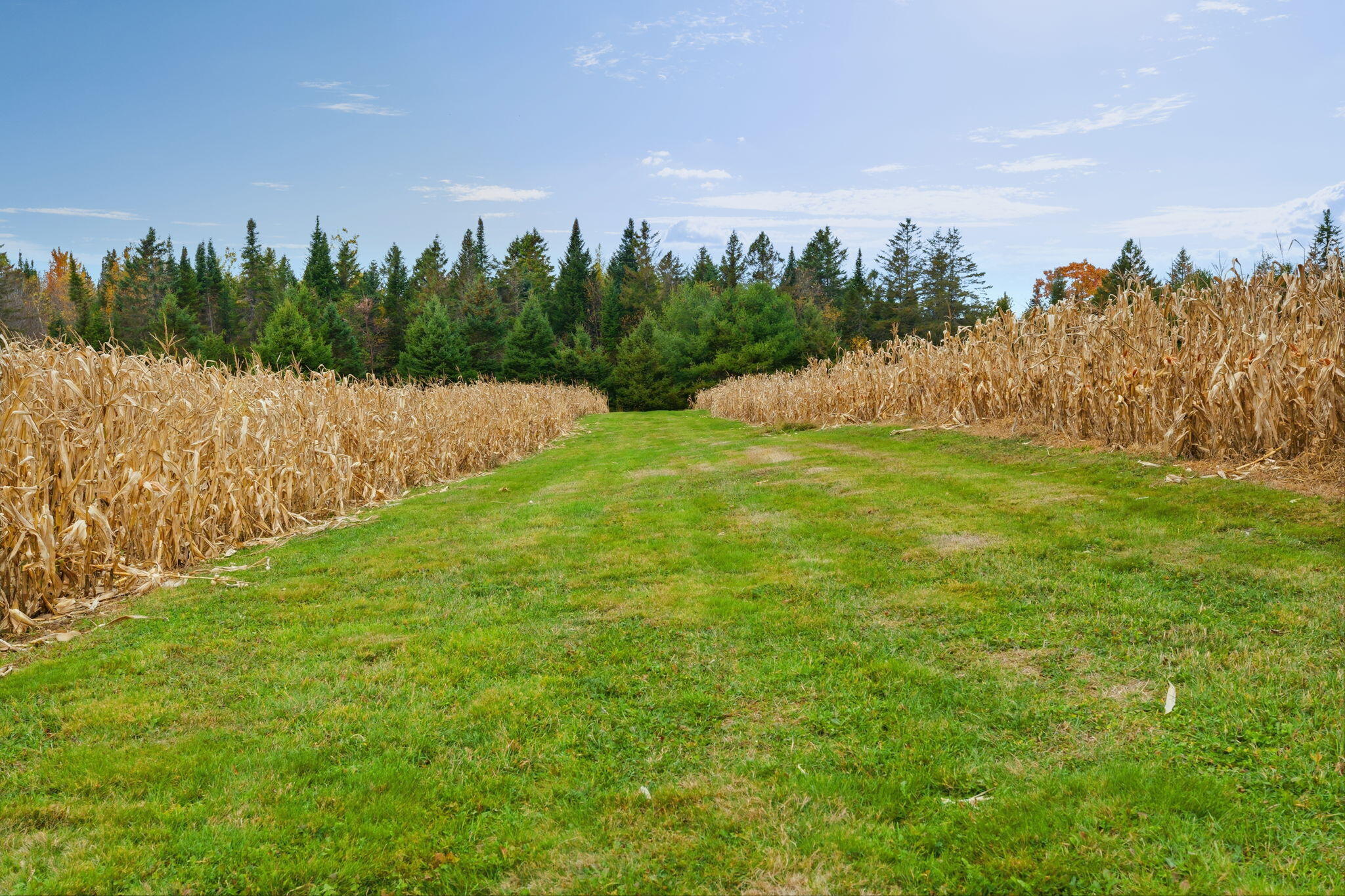 1445 Bear Hill Road Dover-foxcroft ME 04426