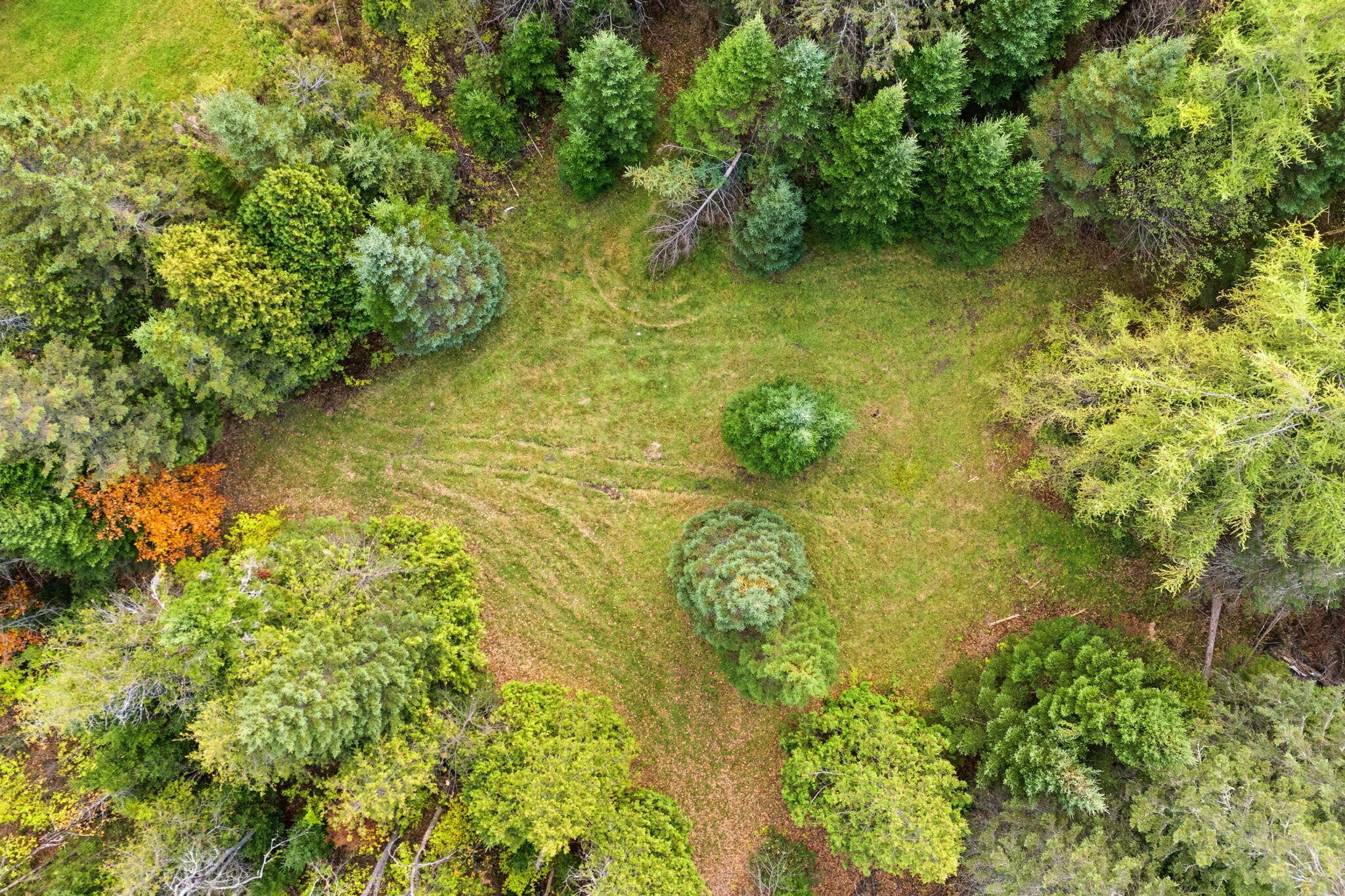 1445 Bear Hill Road Dover-foxcroft ME 04426