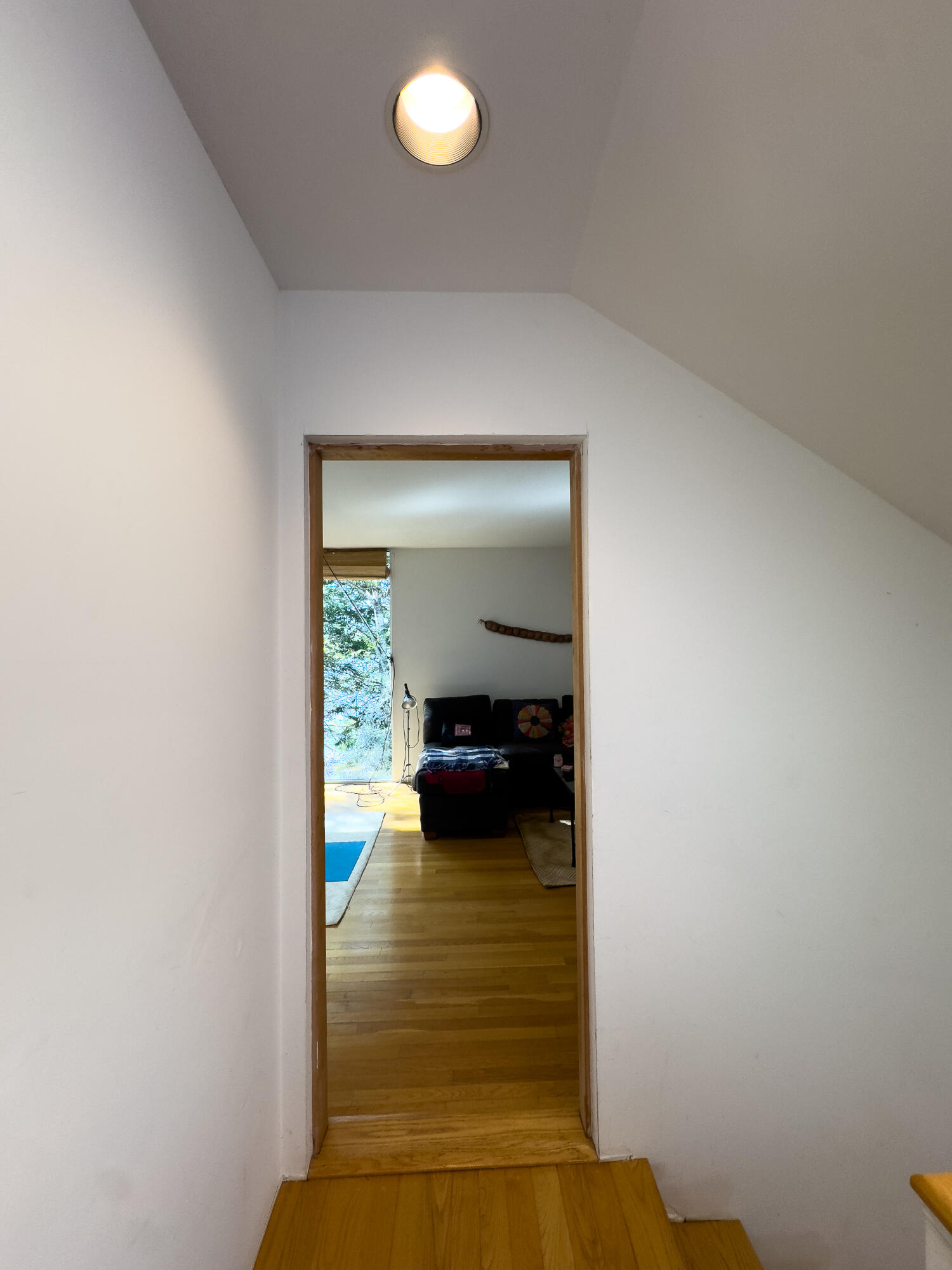 85 E Side Road Machiasport ME 04655