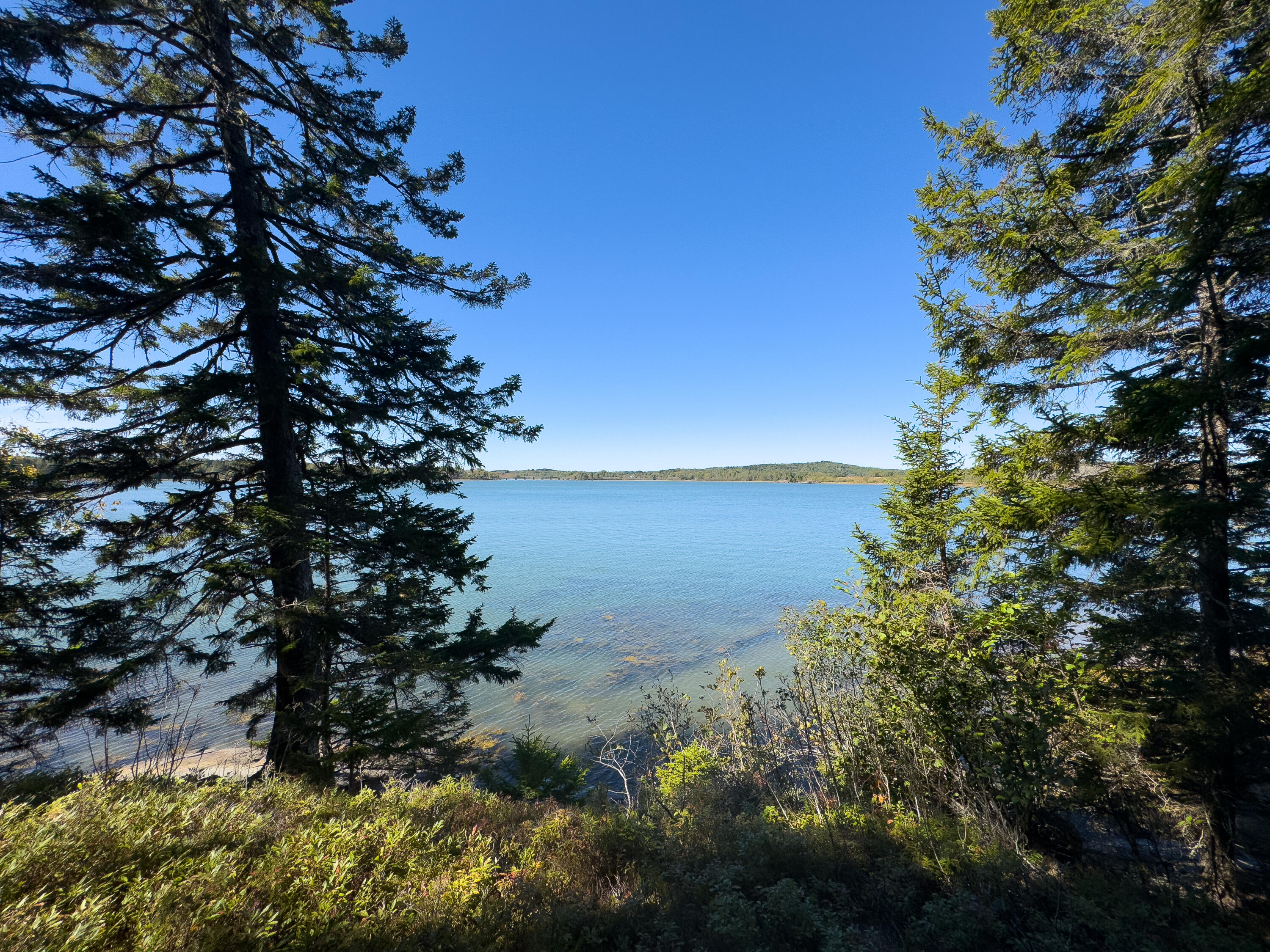 85 E Side Road Machiasport ME 04655