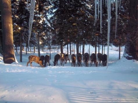 378 Mingo Loop Road Rangeley ME 04970