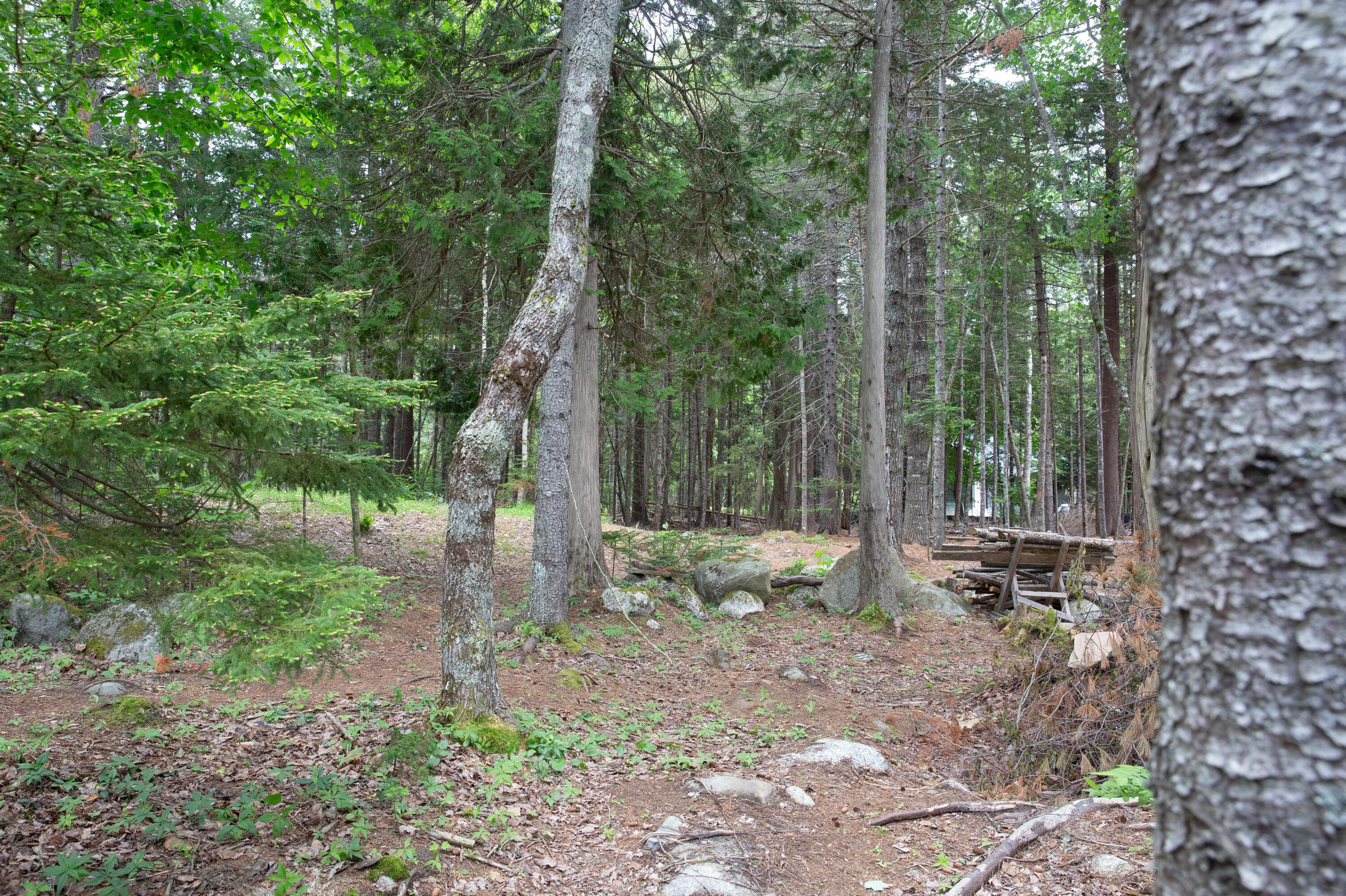 341 Ellsworth Road Blue Hill ME 04614