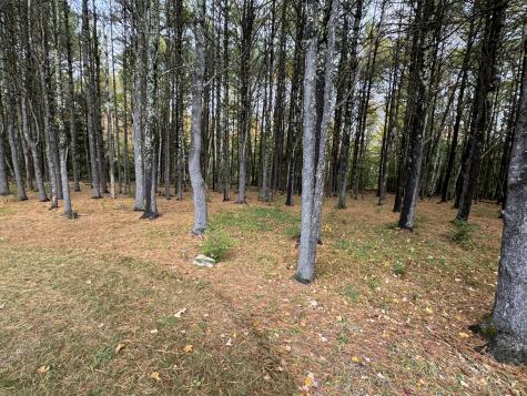 2620 Me-109 Acton ME 04001