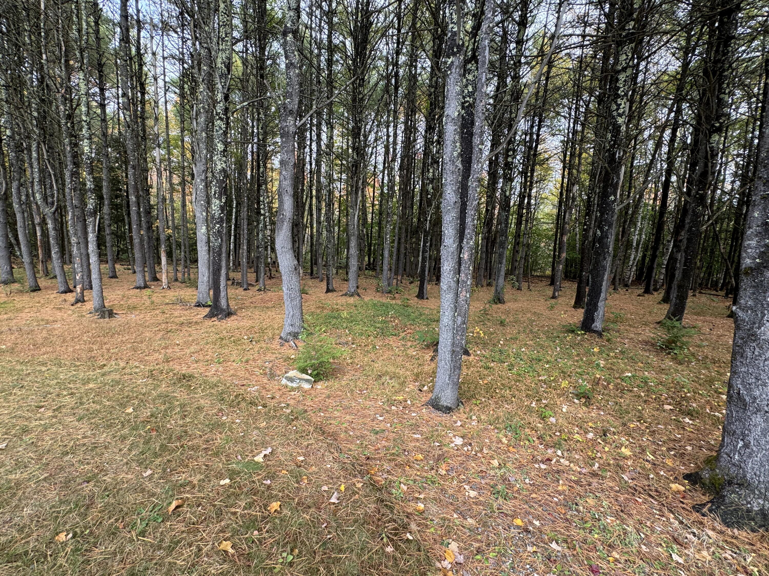 2620 Me-109 Acton ME 04001