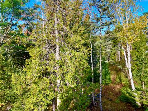 28 Mount Gilboa Way Tremont ME 04653