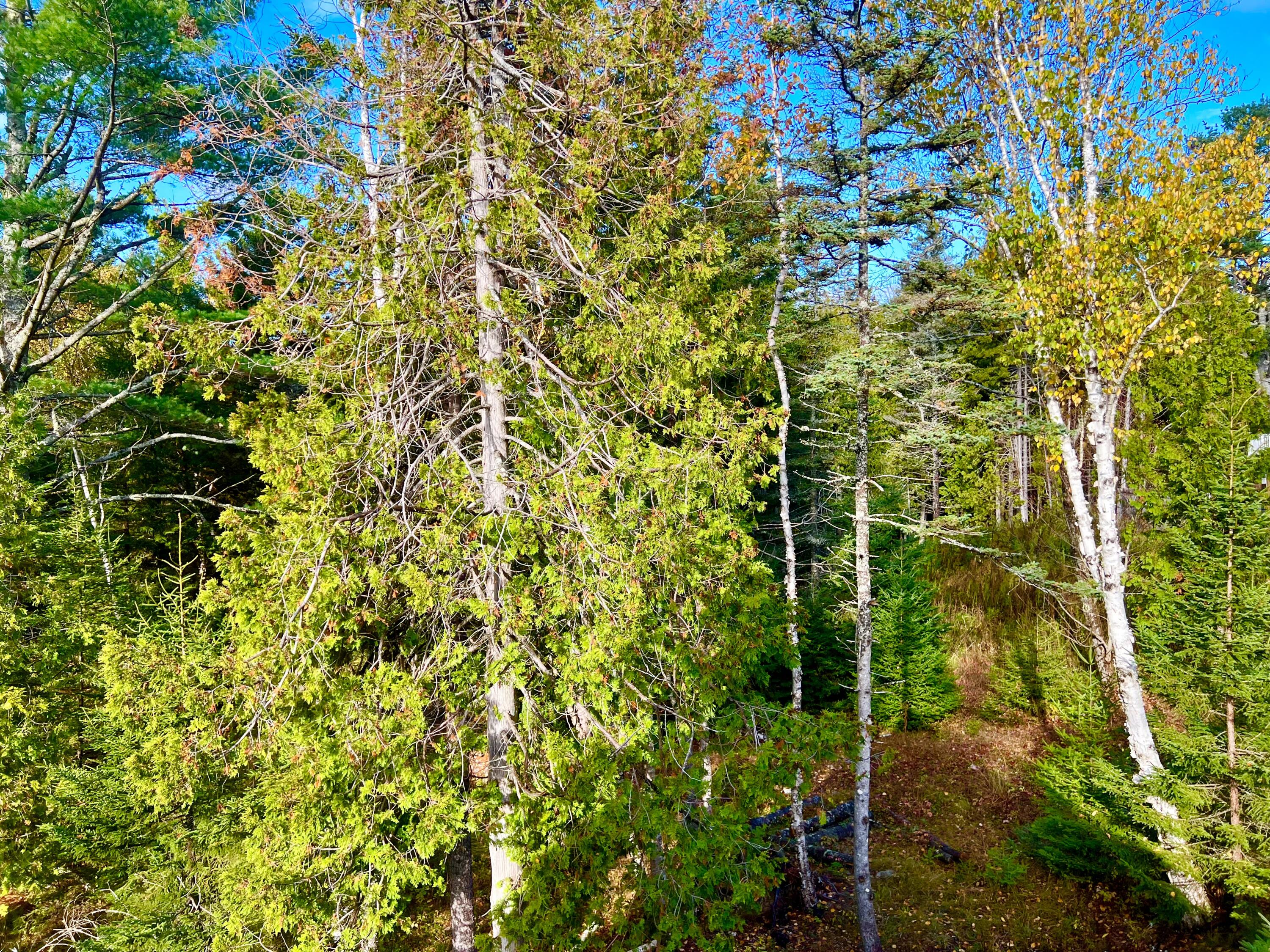 28 Mount Gilboa Way Tremont ME 04653