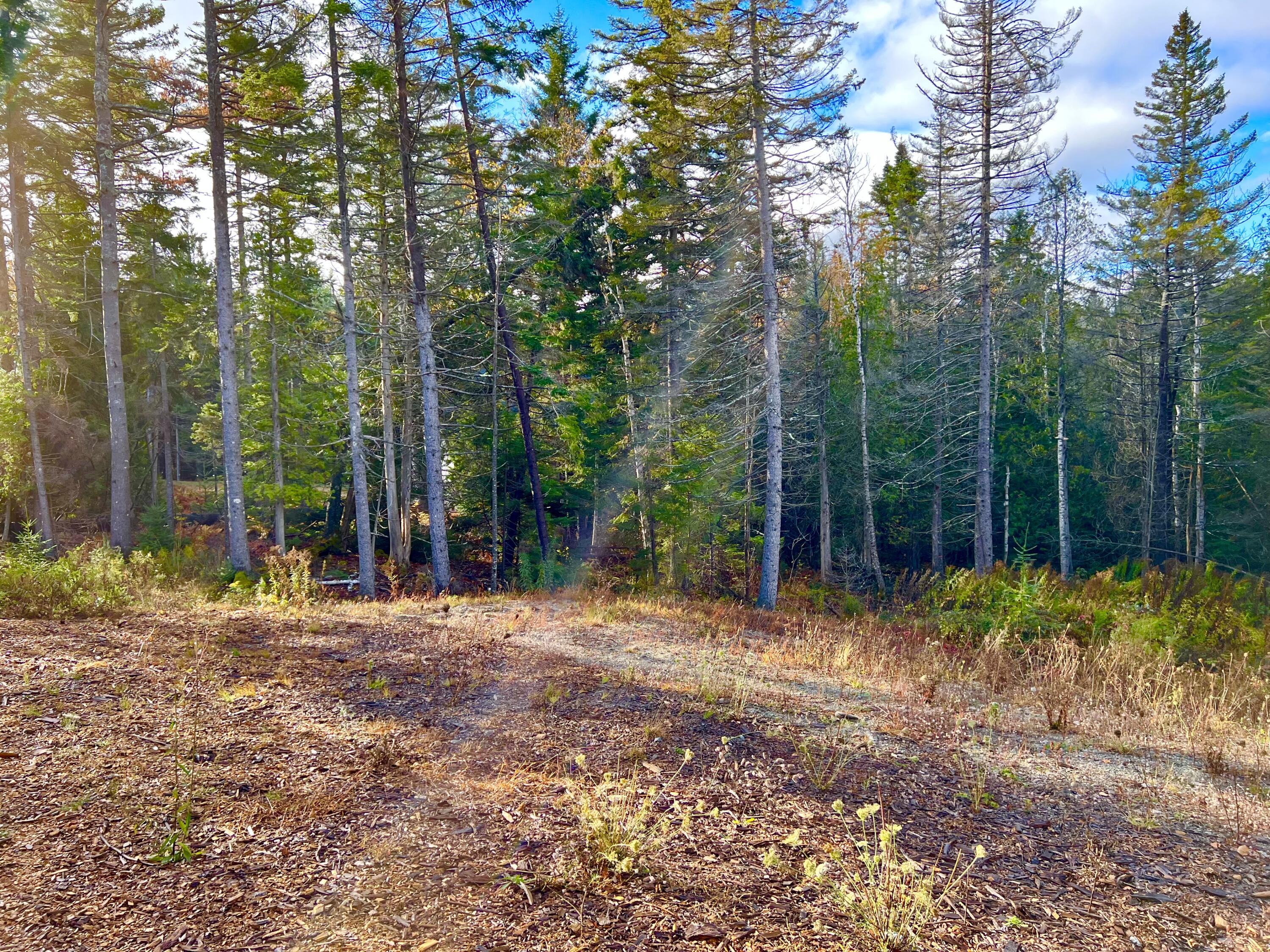 28 Mount Gilboa Way Tremont ME 04653