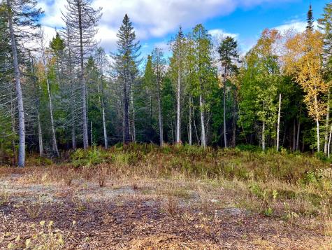 28 Mount Gilboa Way Tremont ME 04653