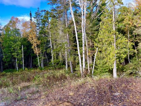 28 Mount Gilboa Way Tremont ME 04653
