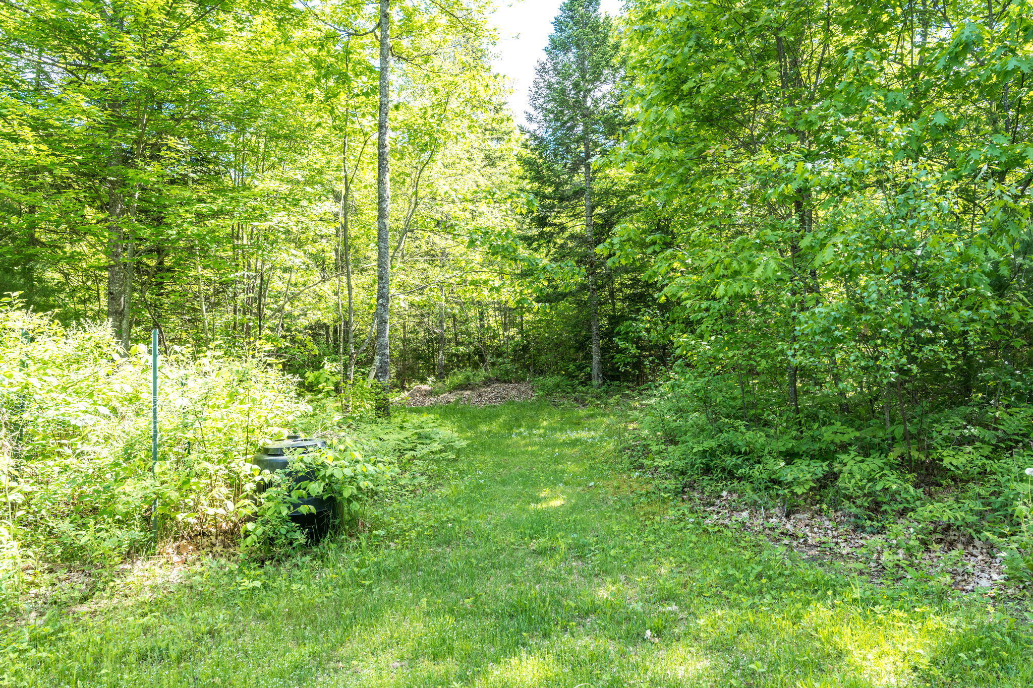 1160 Main Road Greenbush ME 04418