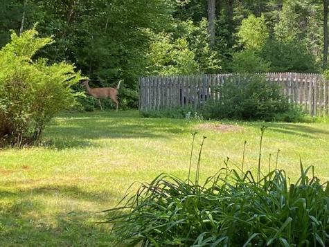 1160 Main Road Greenbush ME 04418