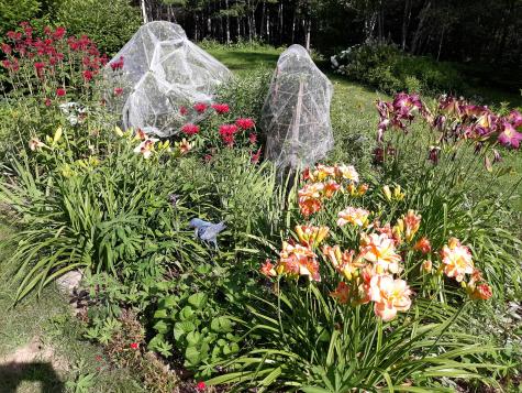 86 Lauries Lane Hanover ME 04237