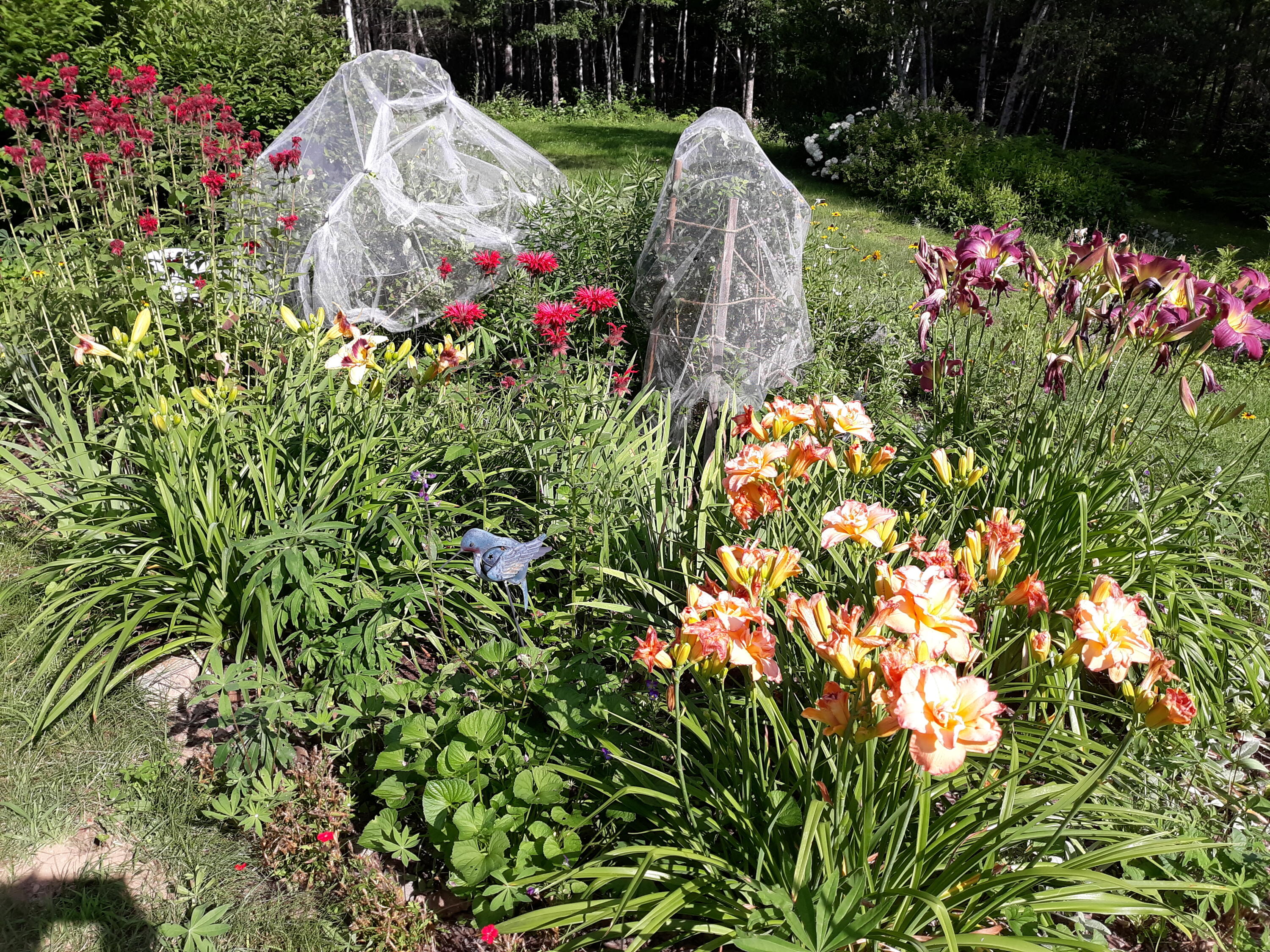 86 Lauries Lane Hanover ME 04237