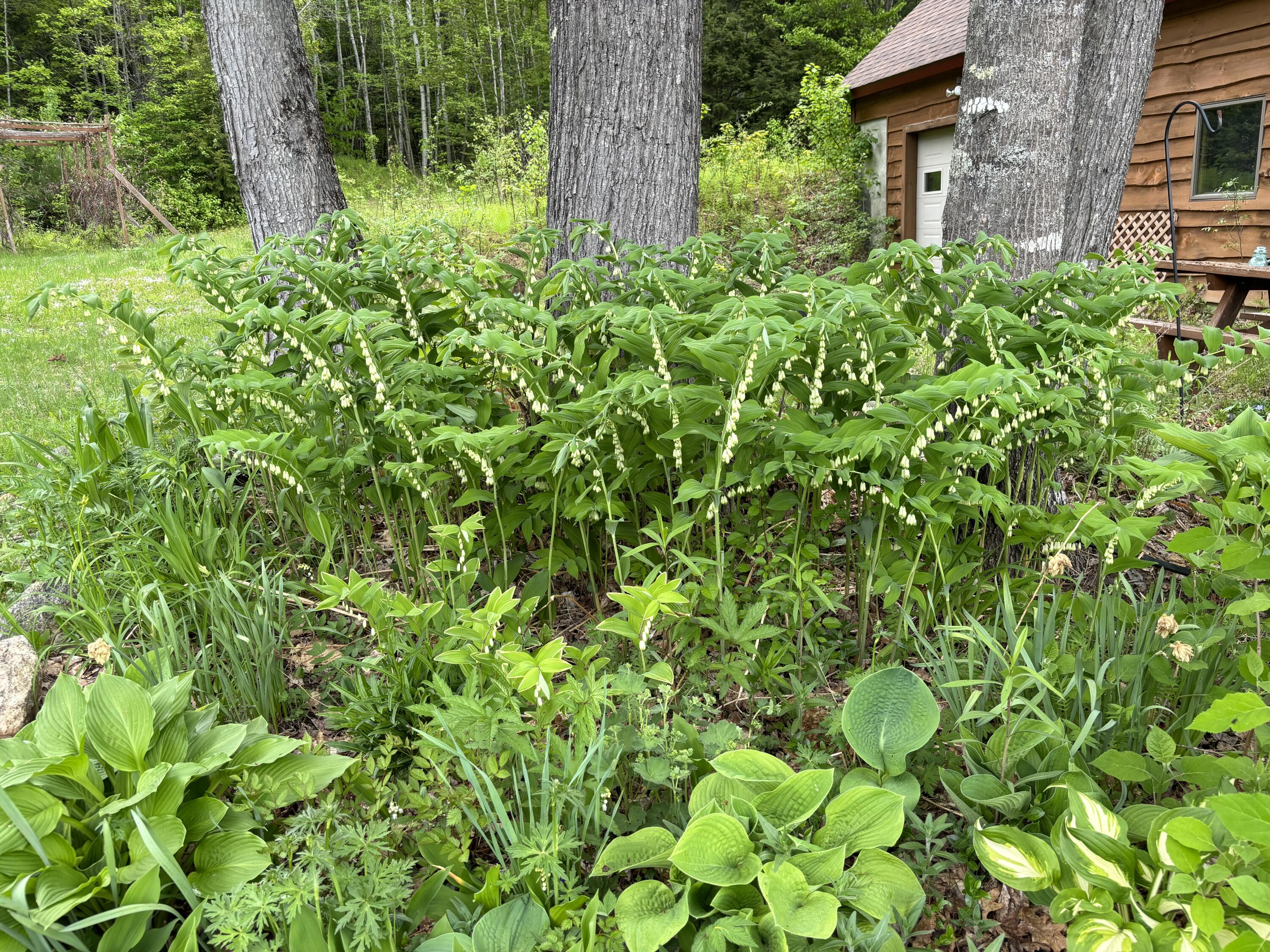 86 Lauries Lane Hanover ME 04237