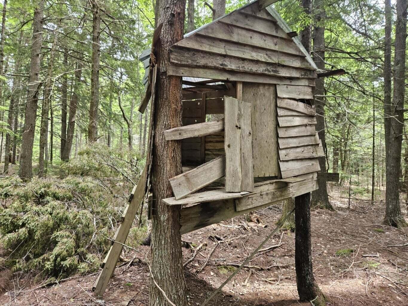 106 Woodfield Way Ellsworth ME 04605