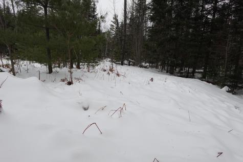 262 Bert Berry Road Embden ME 04958