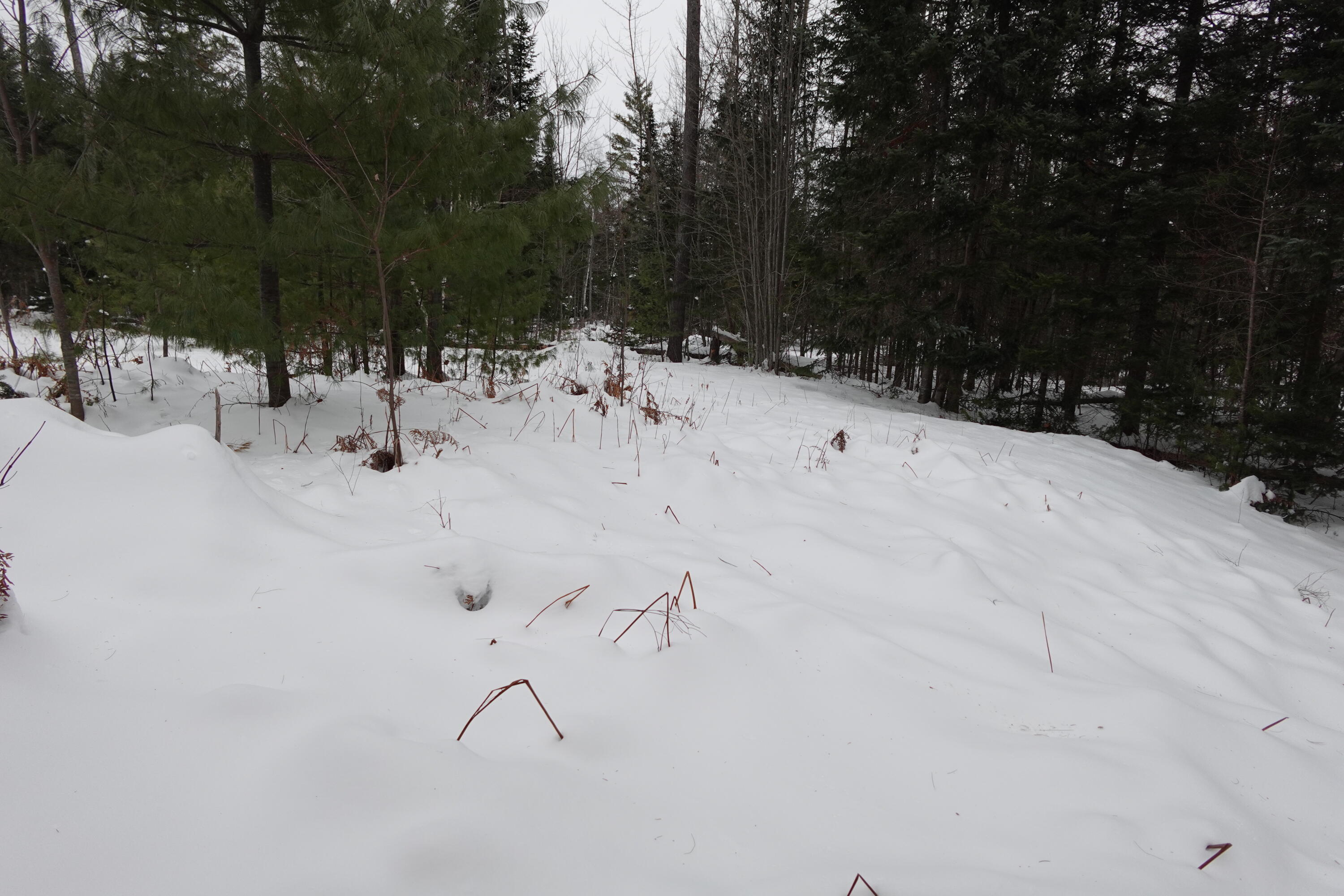 262 Bert Berry Road Embden ME 04958