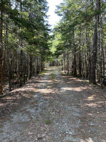 31 Sportsmen's Lodge Road Marshfield ME 04654